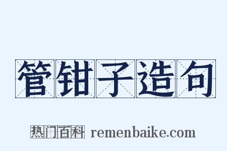 管钳子造句是什么意思的图片